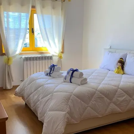 Проживание в семье Hollywood