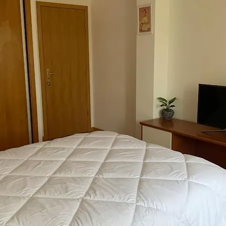 Hollywood Проживание в семье *