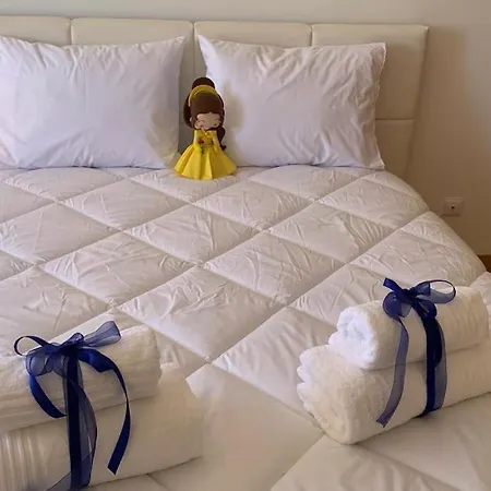 Hollywood Проживание в семье *