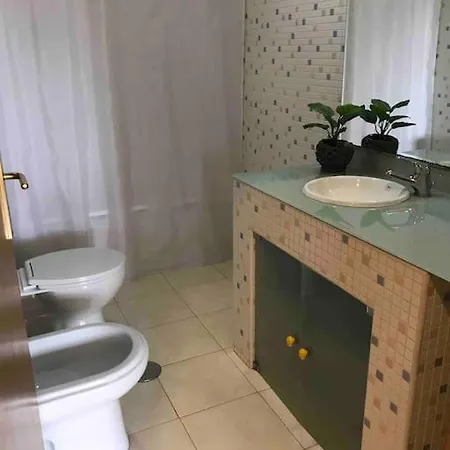 Hollywood Проживание в семье *