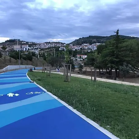 Проживание в семье Hollywood