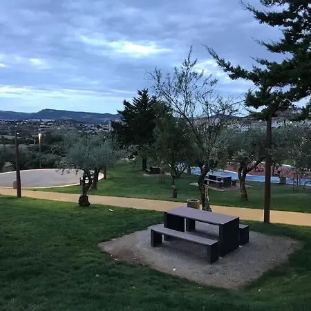 Проживание в семье Hollywood *