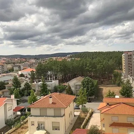 Проживание в семье Hollywood