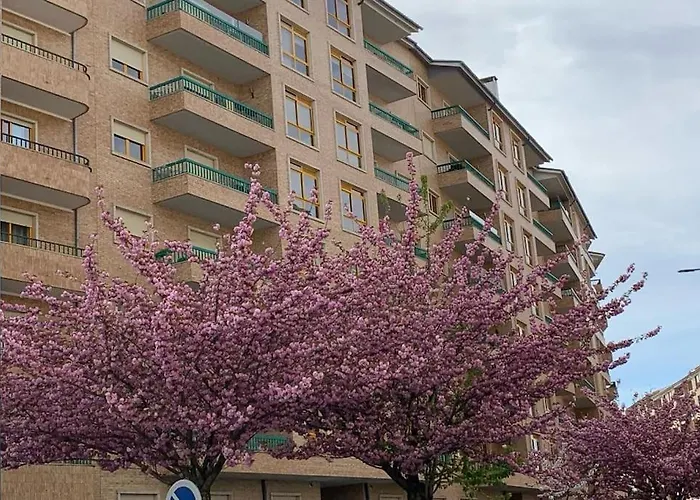 Hollywood براغانسا